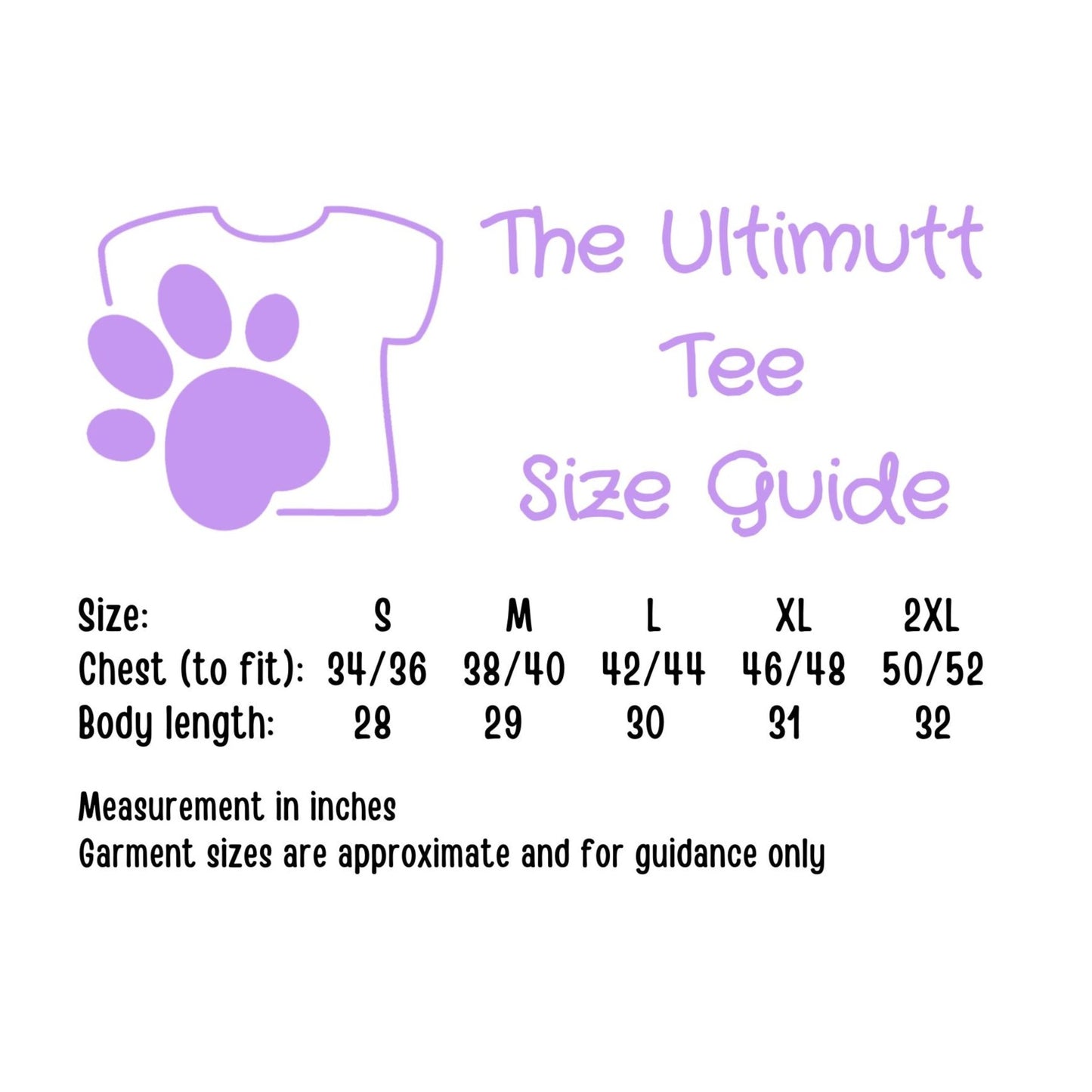 Border Collie Tshirt Collie Dog Skateboarding T shirt Skate Border Collie Dog Lover Gift