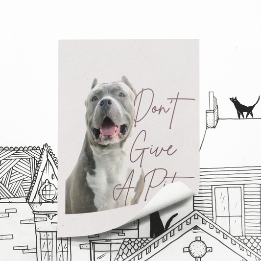 Don't Give A Pit Bull Terrier Dog Lover A3 Poster