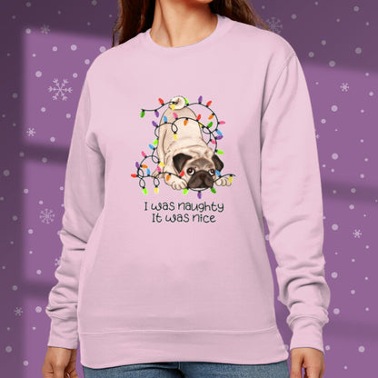 Dog Christmas Sweatshirt Pug Lover Gift Christmas Sweater Pug Dog Christmas Jumper