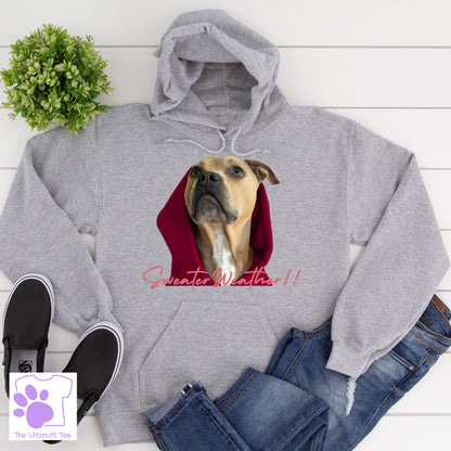 Sweater Weather Dog Jumper Dog Lover Slogan Hoodie